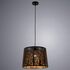 Купить Подвесной светильник Arte Lamp Celesta A2769SP-1BK, фото 3