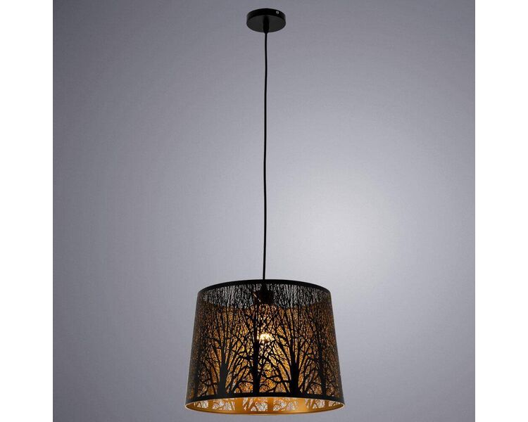 Купить Подвесной светильник Arte Lamp Celesta A2769SP-1BK, фото 3